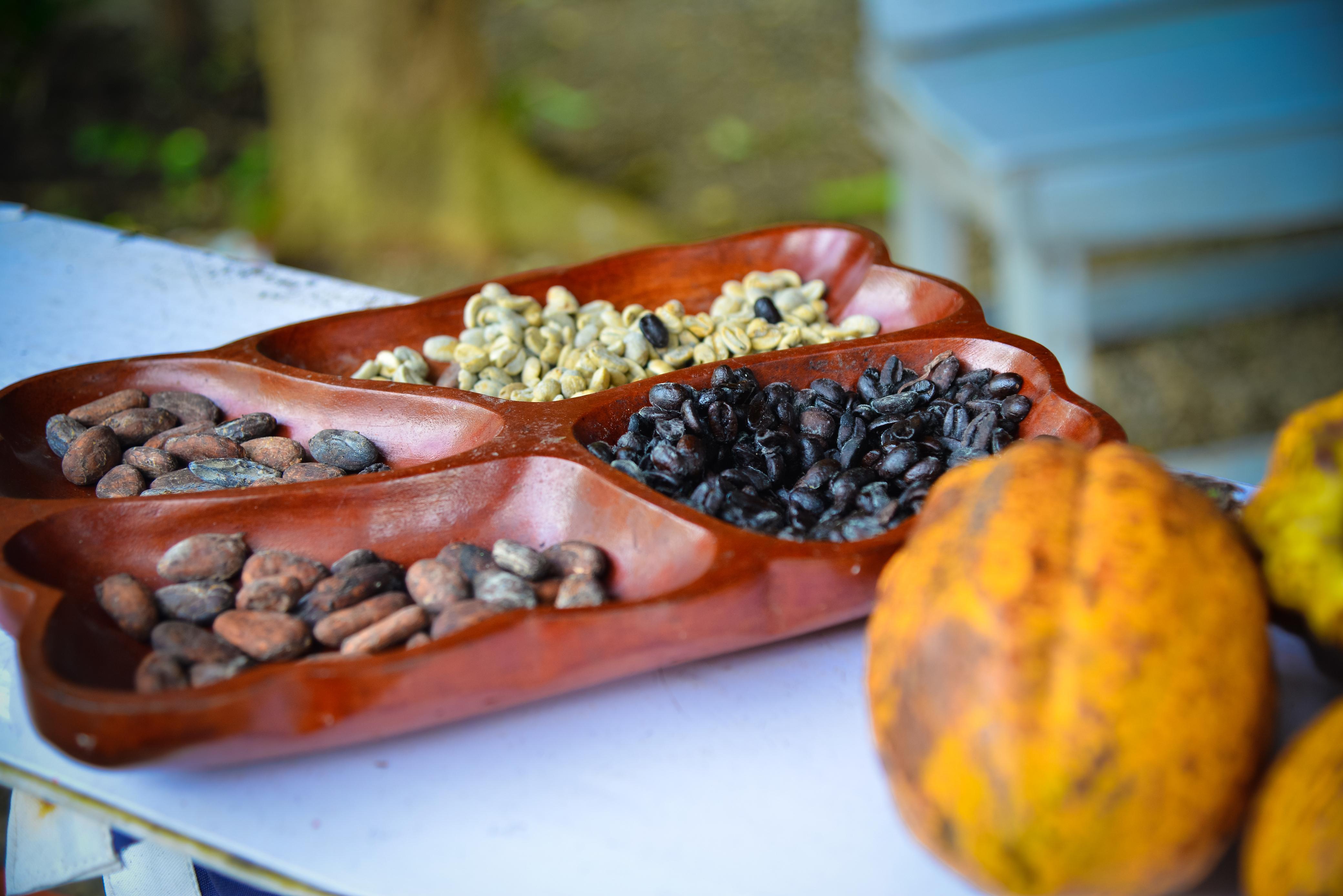 Momento real del recorrido en buggy y ATV por Puerto Plata